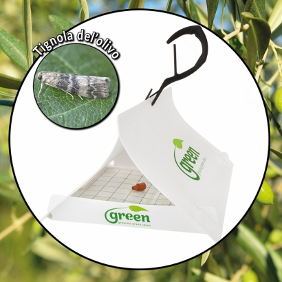 Green Trap - Tignola dell'olivo