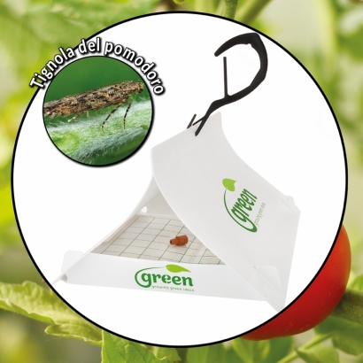 Green Trap - Tomato leafminer